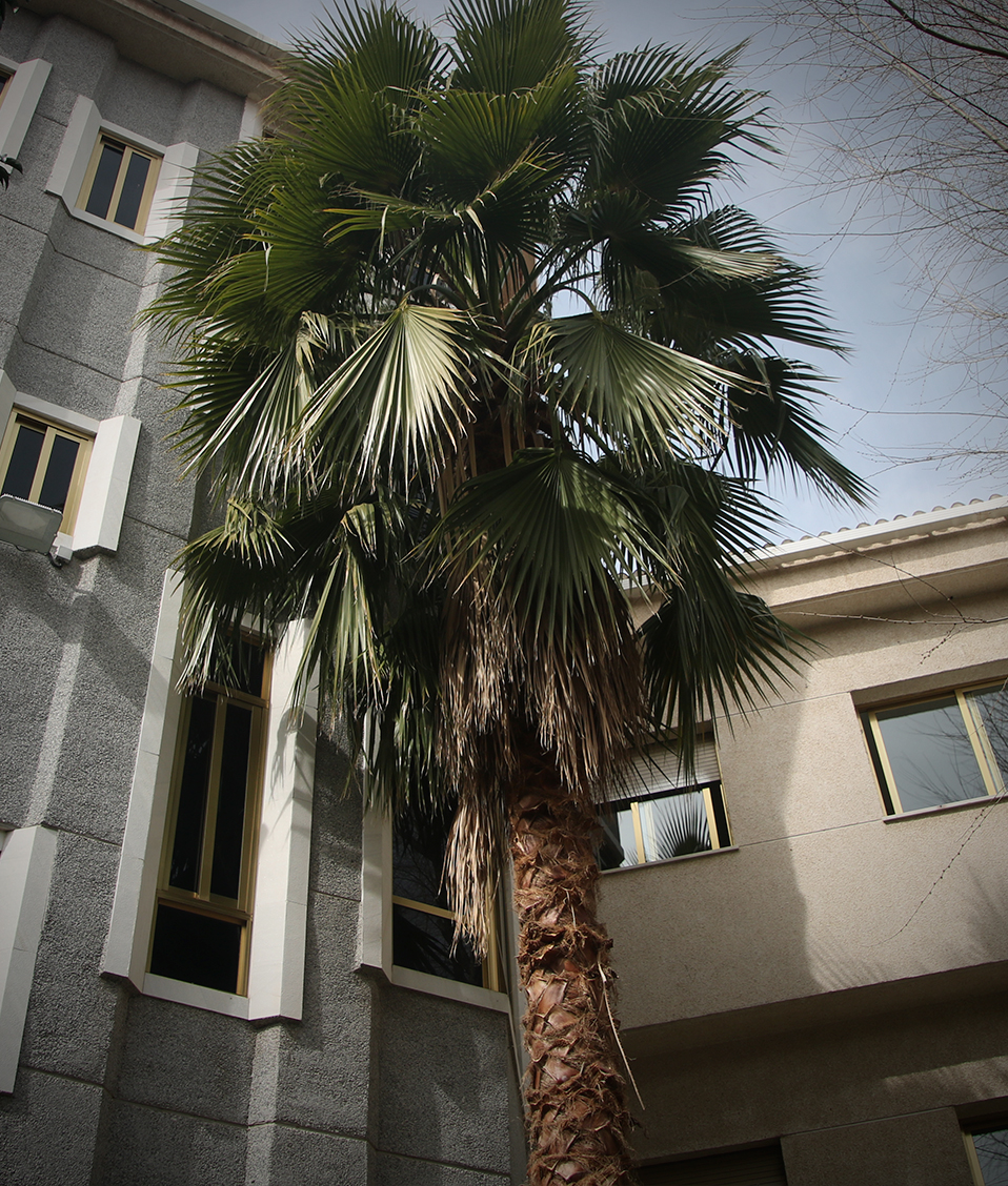 Vista del edificio San Jerónimo desde el patio interior